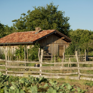 Rencontre entre structures du réseau à Rions-des-Landes